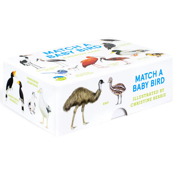 Laurence King Match a Baby Bird: A Memory Game