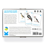 Laurence King Match a Baby Bird: A Memory Game