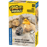 Thames & Kosmos I Dig It! Fossils - Real Fossils Excavation Kit