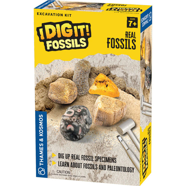 Thames & Kosmos I Dig It! Fossils - Real Fossils Excavation Kit