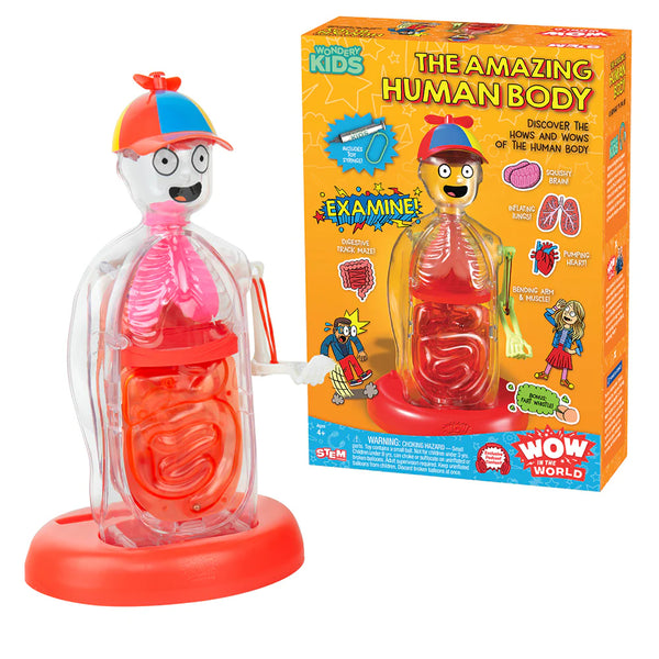 Wow in the World Science Kit - The Amazing Human Body