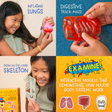 Wow in the World Science Kit - The Amazing Human Body