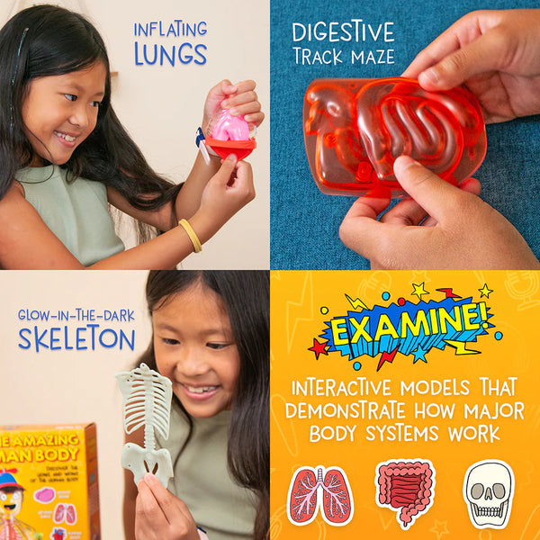Wow in the World Science Kit - The Amazing Human Body