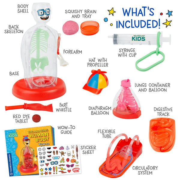 Wow in the World Science Kit - The Amazing Human Body