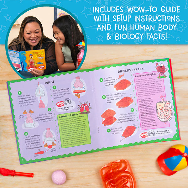 Wow in the World Science Kit - The Amazing Human Body
