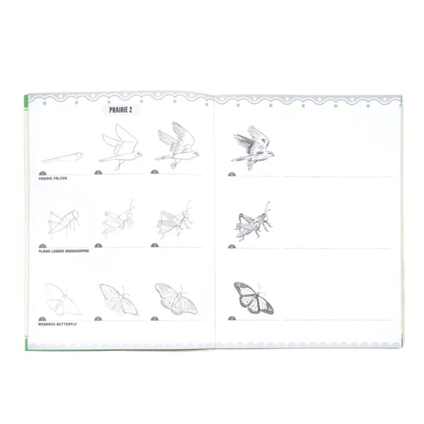 eeBoo Learn to Draw with Stickers - Birds, Bugs & Butterflies