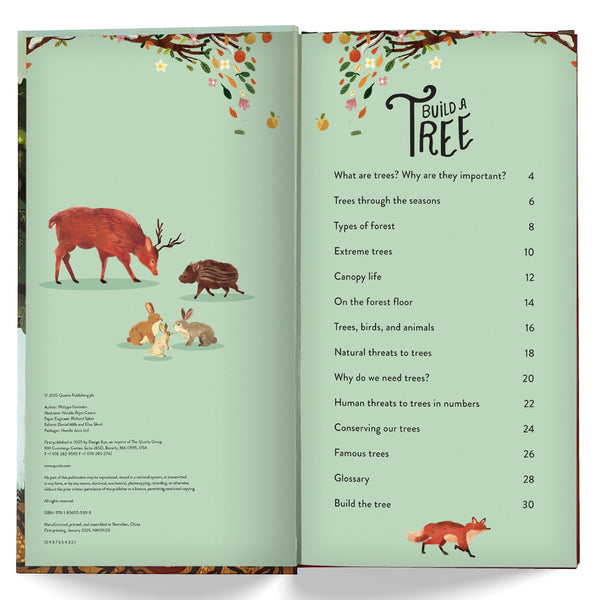 Make & Play: Build A Tree Activity Kit by Philippa Forrester, Natalia Rojas Castro