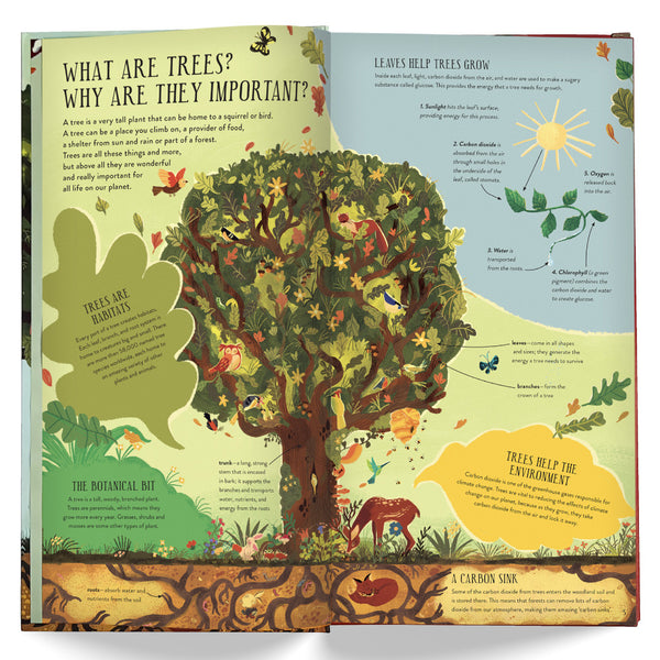 Make & Play: Build A Tree Activity Kit by Philippa Forrester, Natalia Rojas Castro