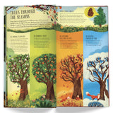 Make & Play: Build A Tree Activity Kit by Philippa Forrester, Natalia Rojas Castro