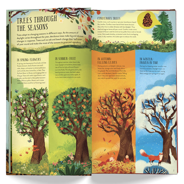 Make & Play: Build A Tree Activity Kit by Philippa Forrester, Natalia Rojas Castro