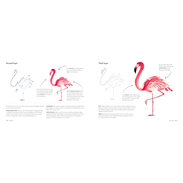 Ilex Press - Animal Watercolour in 10 Minutes by Miriam Sugranyes