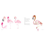 Ilex Press - Animal Watercolour in 10 Minutes by Miriam Sugranyes