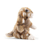 Folkmanis Hand Puppet - Silky Bunny Rabbit
