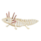 Fridolin 3D Animals Paper Model - Axolotl
