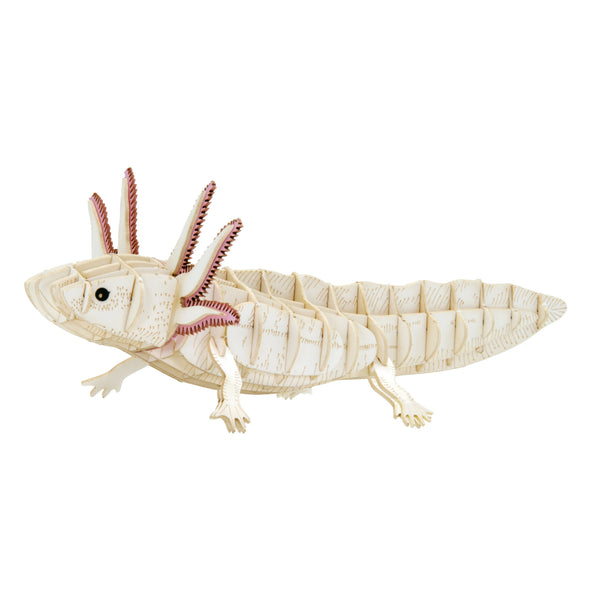 Fridolin 3D Animals Paper Model - Axolotl