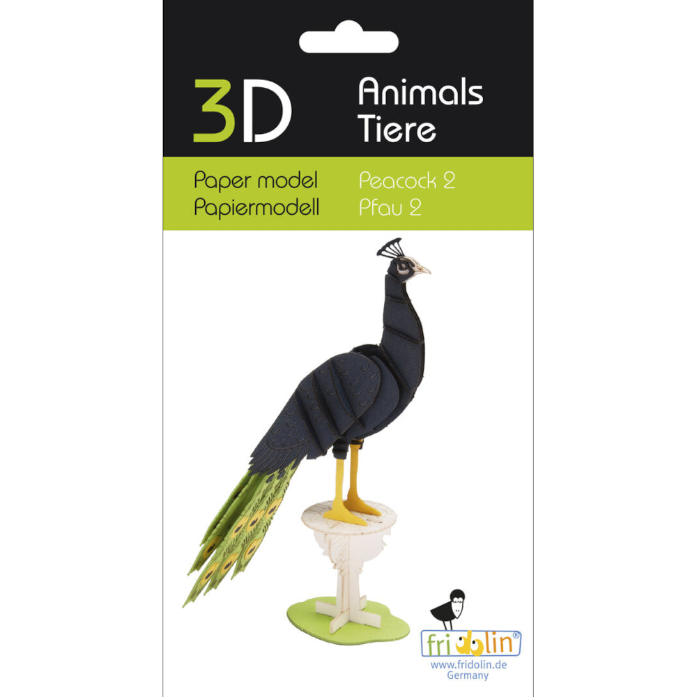 Fridolin 3d Paper Model Turtle Shell Fridolin 3D Cardboard Animal