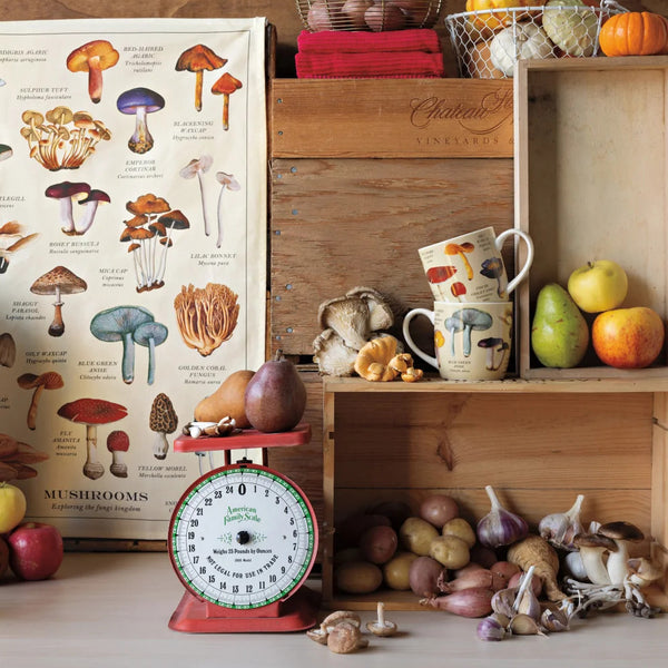 Now Designs Porcelain Mug 12oz Mushrooms