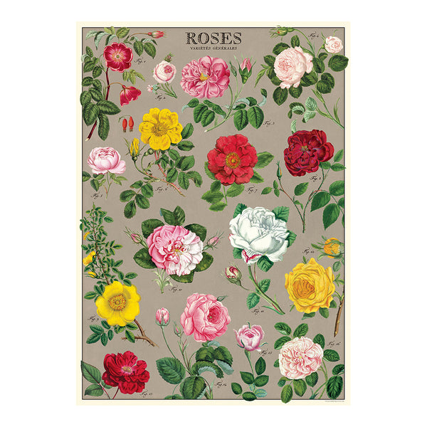 Cavallini Vintage Art Poster - Roses