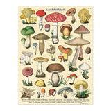 Cavallini 240pc Vintage Puzzle - Mushrooms