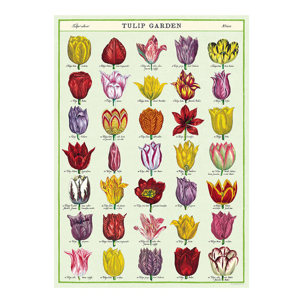 Cavallini Vintage Art Poster - Tulip Garden