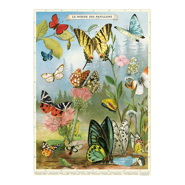 Cavallini Vintage Art Poster - Butterflies 2