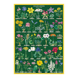 Cavallini Vintage Art Poster - Wildflowers 2