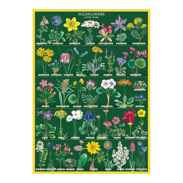 Cavallini Vintage Art Poster - Wildflowers 2