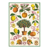 Cavallini Vintage Art Poster - L'Orangerie