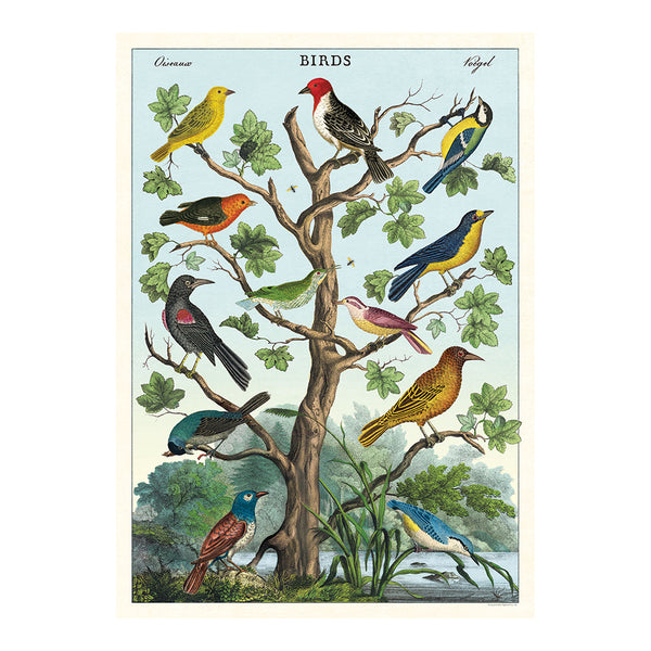 Cavallini Vintage Art Poster - Birds in a Tree