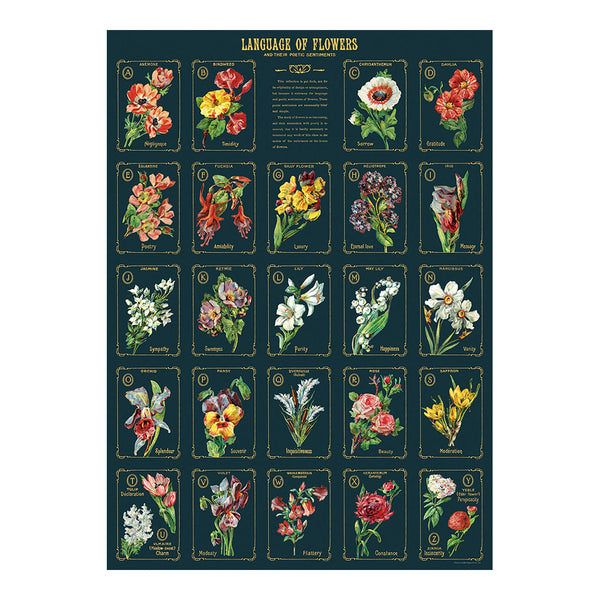 Cavallini Vintage Art Poster - Language of Flowers 2