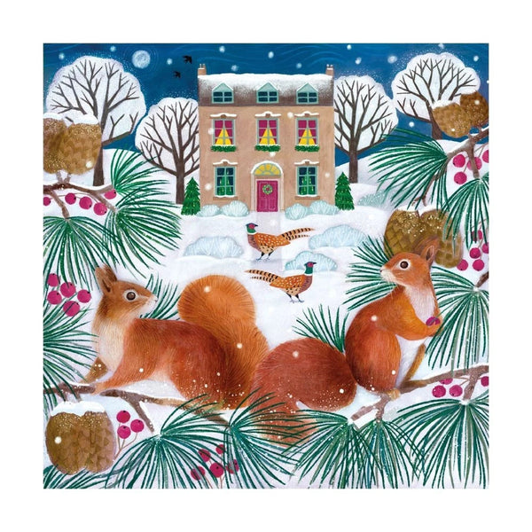 Museums & Galleries Boxed Holiday Cards 8pk Snowy Squirrels