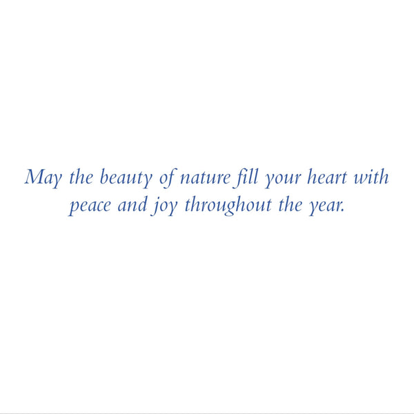 Peter Pauper Press Holiday Boxed Cards 20pk: Winter Nightfall