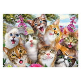 Schmidt 500pc Puzzle - Cat Selfie