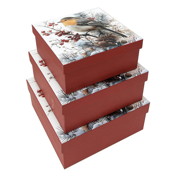 Paper Trendz Holiday Gift Boxes 3pc Set - Robin with Berries