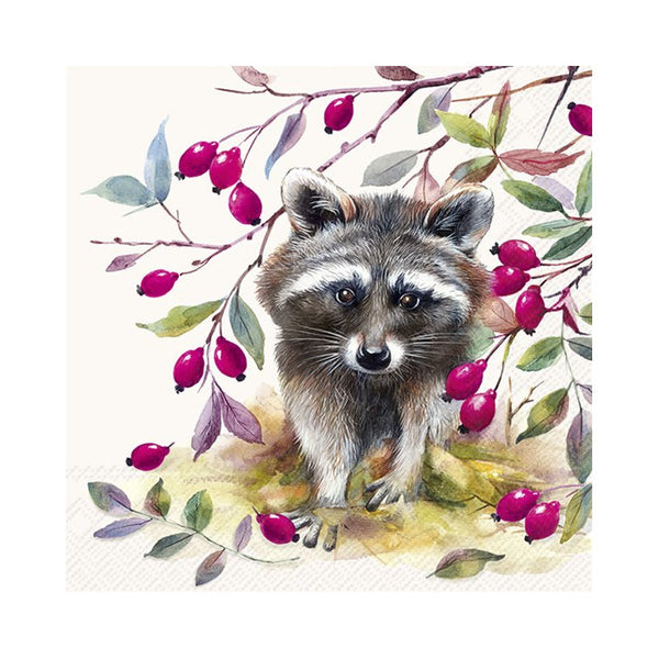 IHR Beverage Napkins 20pk Raccoon Bandit