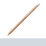 Caran d'Ache 6901 Luminance Coloured Pencils SILVER GRAY