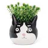 ABBOTT Ceramic Planter 4" - Cat Head