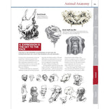 Fox Chapel How to Draw and Paint Anatomy, All New 2nd Edition