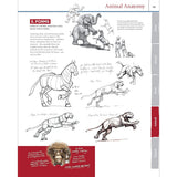 Fox Chapel How to Draw and Paint Anatomy, All New 2nd Edition