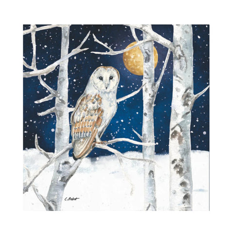 Paperproducts Design Beverage Napkins 20pk Winter Owl