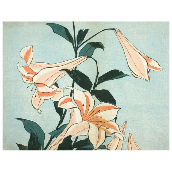 Pomegranate Notecards 16pk Katsushika Hokusai Assortment