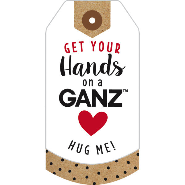 Ganz Plush Toy 12" Hugs & Snugs Raccoon