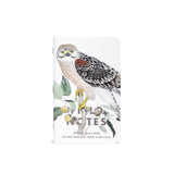 Field Notes Notebook 3pk, Lined: Trees & Birds of North America: Pack C