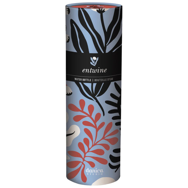 Danica Stainless Steel Water Bottle 17oz Entwine