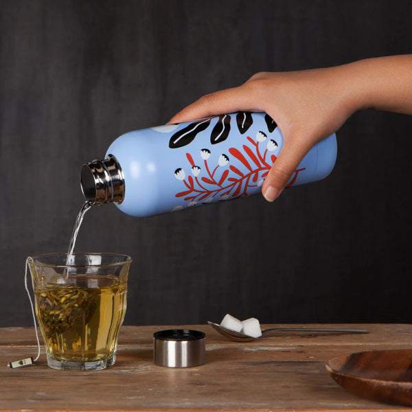 Danica Stainless Steel Water Bottle 17oz Entwine