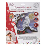 Craft Buddy DIY Crystal Art Card Kit - Frosted Owl