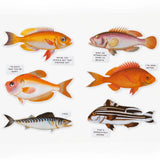 Brass Monkey Puzzle 1000pc - Judgy Fish