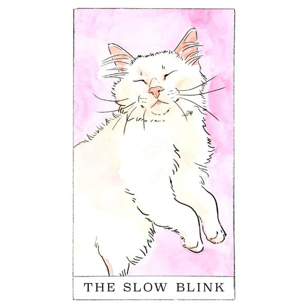 Chronicle Books Kitten Oracle by Megan Lynn Kott