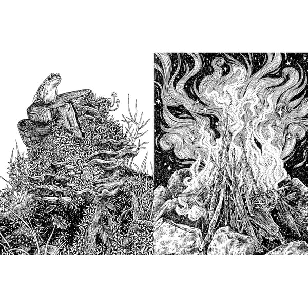 Quadrille 15-minute Art Pen and Ink: Learn to Draw with Pen and Ink in Six Steps or Less