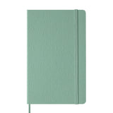 Moleskine Classic Plain Hardcover Notebook, Large - Sage Green